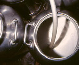 VENETO: AVEPA APRE IL BANDO PER I CONTRIBUTI ALLA PRODUZIONE DEL LATTE